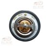 termostato foton midi truc (new) 1.3